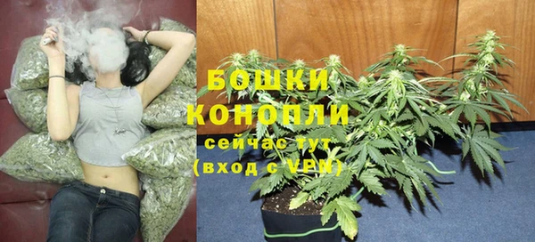 ГАЛЛЮЦИНОГЕННЫЕ ГРИБЫ Армянск