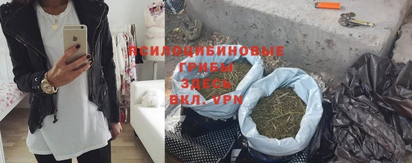 МДПВ Алексин